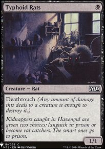 Rats typhodiens - 