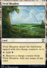 Vivid Meadow - 