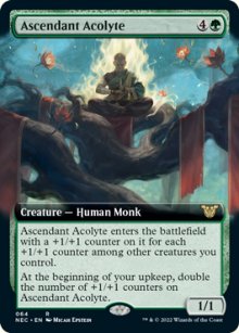 Ascendant Acolyte - 