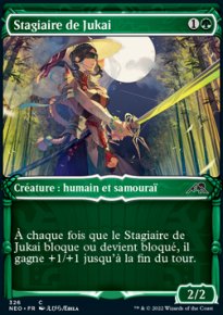 Stagiaire de Jukai - 