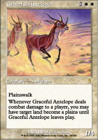 Antilope gracieuse - Odyssey