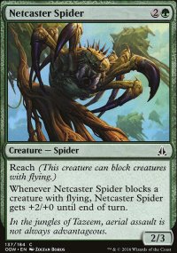 Netcaster Spider - 