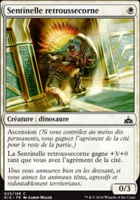 Sentinelle retroussecorne - 