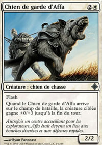 Chien de garde d'Affa - 