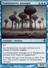 Gomazoaires assoupis - 