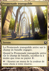 Promenade transguilde - 