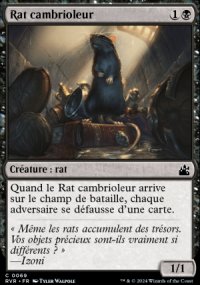 Rat cambrioleur - 