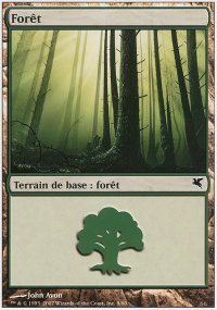 Forest - 