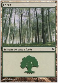 Forest - 