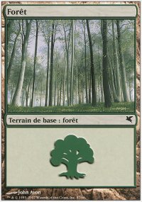 Forest - 