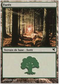 Forest - 