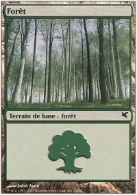 Forest - 