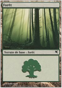 Forest - 