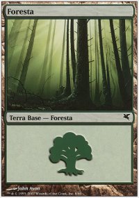 Forest - 