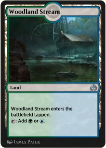 Woodland Stream - 