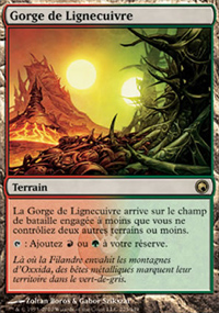 Gorge de Lignecuivre - 