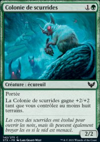 Colonie de scurrides - 