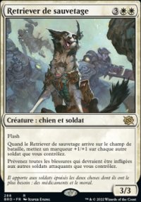 Retriever de sauvetage - 