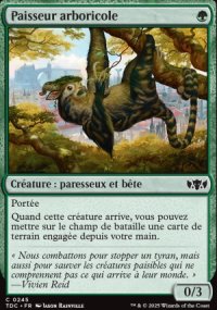 Paisseur arboricole - Tarkir: Dragonstorm Commander Decks