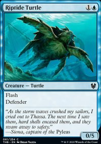 Riptide Turtle - 