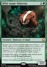 Bb taupe-blaireau - Avatar: The Last Airbender