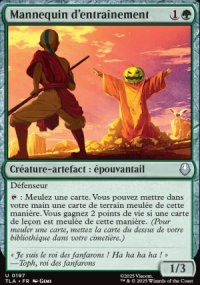 Mannequin d'entranement - Avatar: The Last Airbender