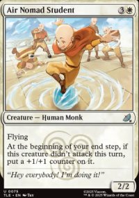 Air Nomad Student - Avatar: The Last Airbender Eternal-Legal