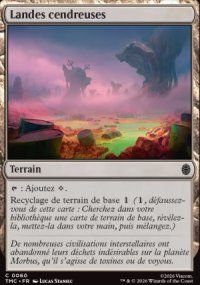 Landes cendreuses - Teenage Mutant Ninja Turtles Eternal Legal