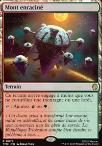 Mont enracin� - Teenage Mutant Ninja Turtles Eternal Legal