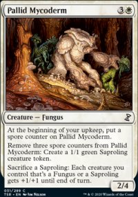 Pallid Mycoderm - 