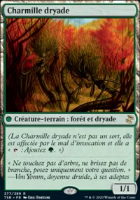 Charmille dryade - 