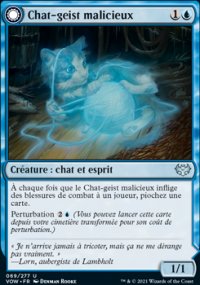 Chat-geist malicieux<br>Curiosit fline