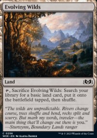 Evolving Wilds - Wilds of Eldraine