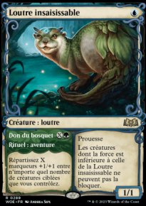 Loutre insaisissable<br>Don du bosquet - 