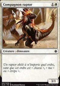 Compagnon raptor - 