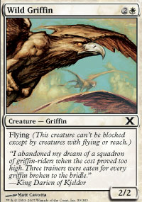 Griffon sauvage - 