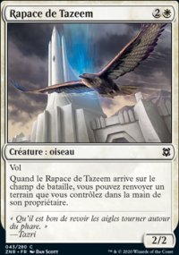 Rapace de Tazeem - 