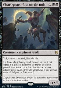 Charognard faucon de nuit - 