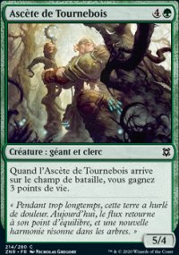 Ascte de Tournebois - 